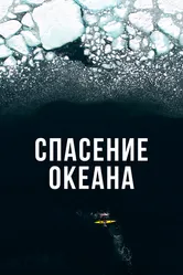 Спасение океана 2017 постер