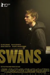 Лебеди 2011 постер