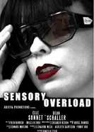 Sensory Overload 2014 постер