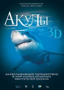 Акулы 3D 2004 постер