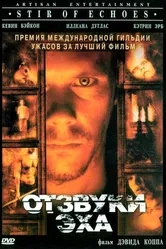 Отзвуки эха 1999 постер