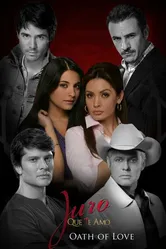 Клянусь, что люблю тебя 2008 постер