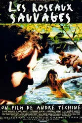 Дикий тростник 1994 постер