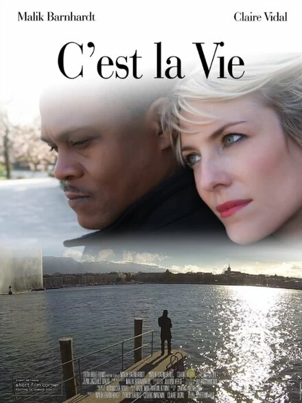 Постер C'est la vie