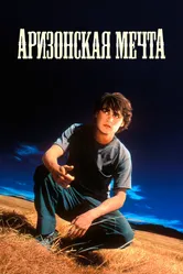 Аризонская мечта 1991 постер