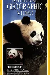 Secrets of the Wild Panda постер