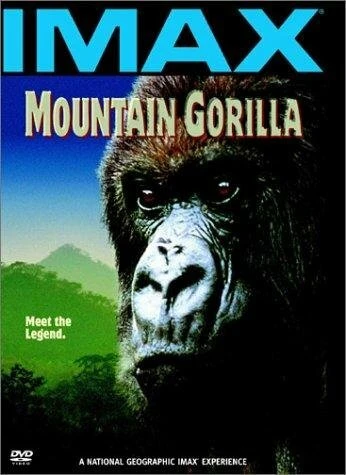 Постер Mountain Gorilla