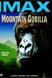 Mountain Gorilla постер