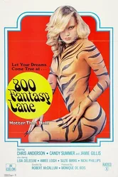 Переулок фантазий, 800 1979 постер