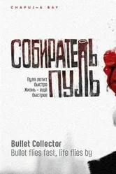 Собиратель пуль 2011 постер
