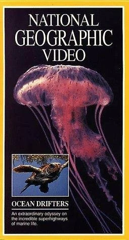 Постер Jellies & Other Ocean Drifters
