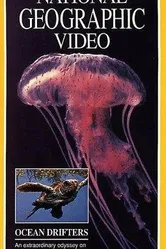 Jellies & Other Ocean Drifters постер