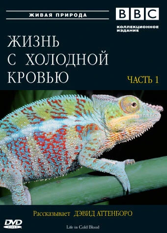 Постер BBC: Жизнь с холодной кровью 2008