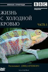 BBC: Жизнь с холодной кровью 2008 постер