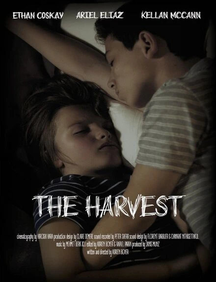 Постер The Harvest 2016, США