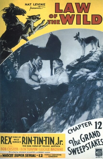Постер Закон дикой природы 1934