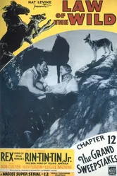 Закон дикой природы 1934 постер