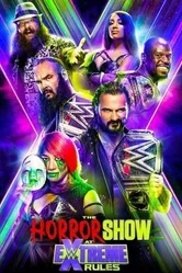 WWE: Экстремальные правила 2020 постер