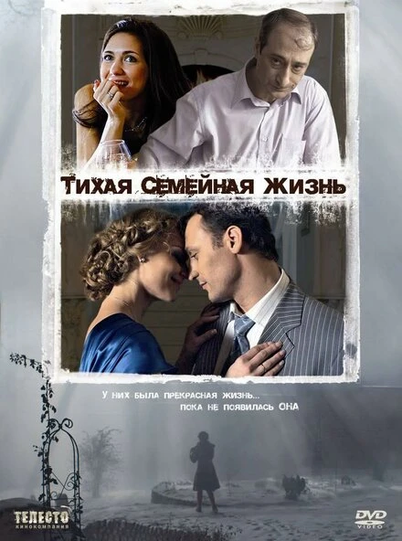 Постер Тихая семейная жизнь 2008