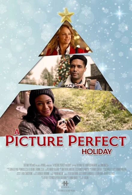 Постер A Picture Perfect Holiday