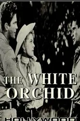 The White Orchid 1954 постер