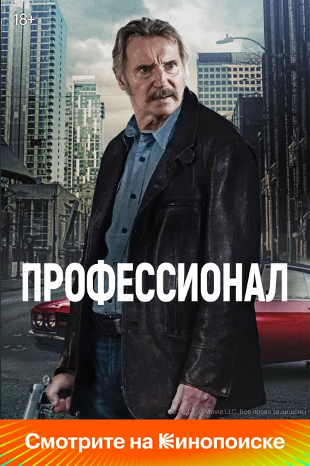 Постер Профессионал 2024