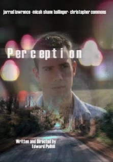 Постер Perception 2006