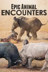 Epic Animal Encounters постер