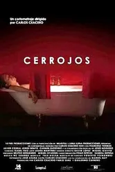 Cerrojos постер