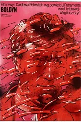 Болдын 1981 постер