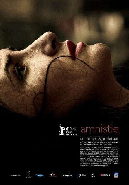 Постер Амнистия 2011