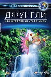 Джунгли 3D: Волшебство другого мира 2012 постер