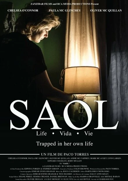 Постер Saol
