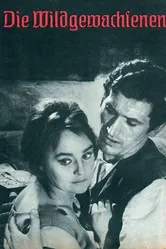 Самородки 1963 постер