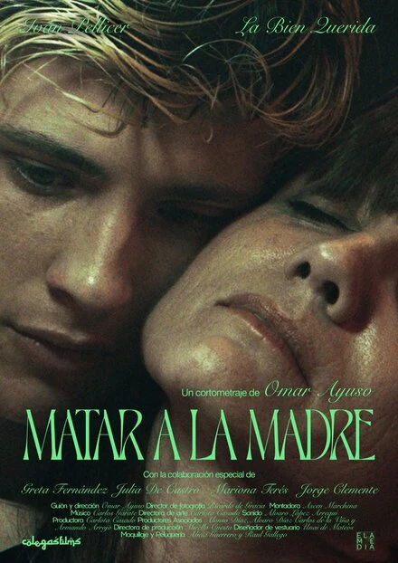 Постер Matar a la madre