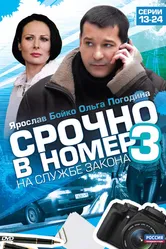 Срочно в номер 3: На службе закона 2011 постер