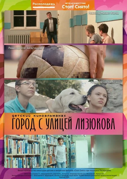 Постер Город с улицей Лизюкова 2018