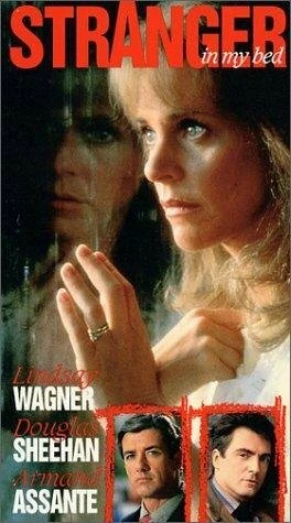 Постер Stranger in My Bed 1987