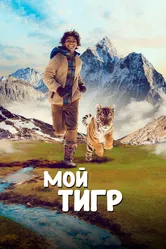 Мой тигр 2022 постер