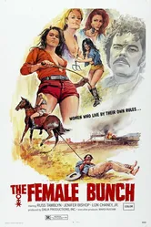 Женская компания 1971 постер