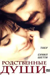 Родственные души 1999 постер