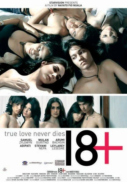 Постер 18+ 2010