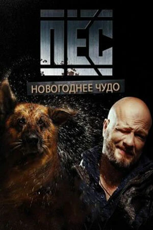 Постер Пёс. Новогоднее чудо 2018
