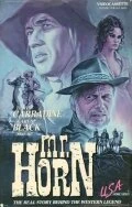 Постер Мистер Хорн 1979