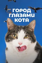 Город глазами кота 2018 постер