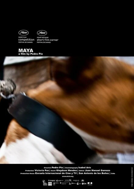 Постер Maya 2010