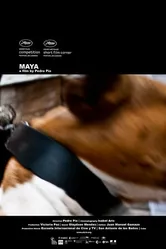 Maya 2010 постер