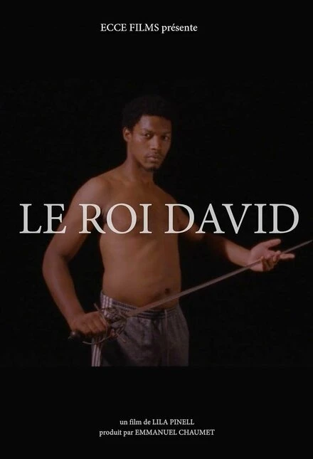 Постер Le Roi David