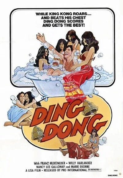 Постер Ding Dong 1995