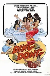 Ding Dong 1995 постер